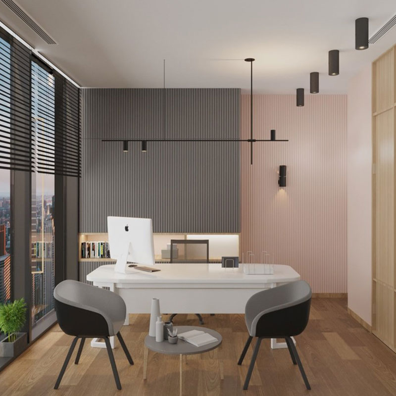 EFE PLAZA CLINICAL CENTER